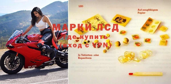 apvp Богданович