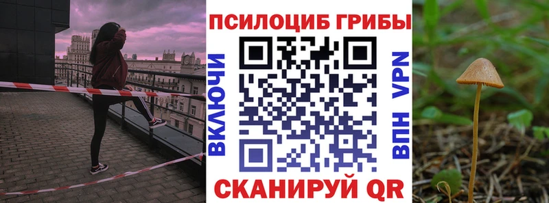 MEGA сайт Оха Псилоцибиновые грибы мицелий
